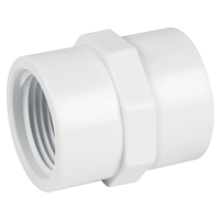 Adaptador hembra de PVC, 2' - PVC-606 / 45550